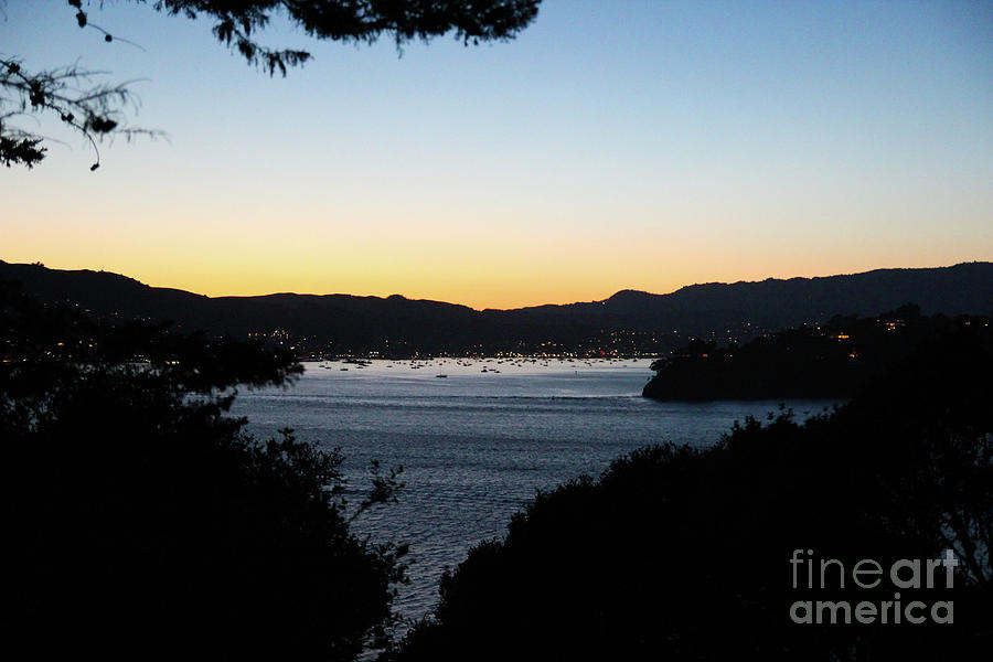 Sausalito Sunset Photograph by Suzanne Luft