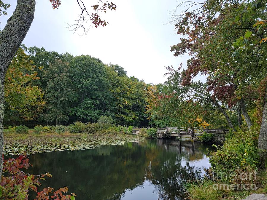 Southford Falls State Park Photograph by Alicja Photography - Fine Art ...