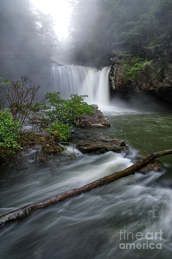 Savage Falls 16 Photograph by Phil Perkins Savage Falls 16 Photograph by Phil Perkins