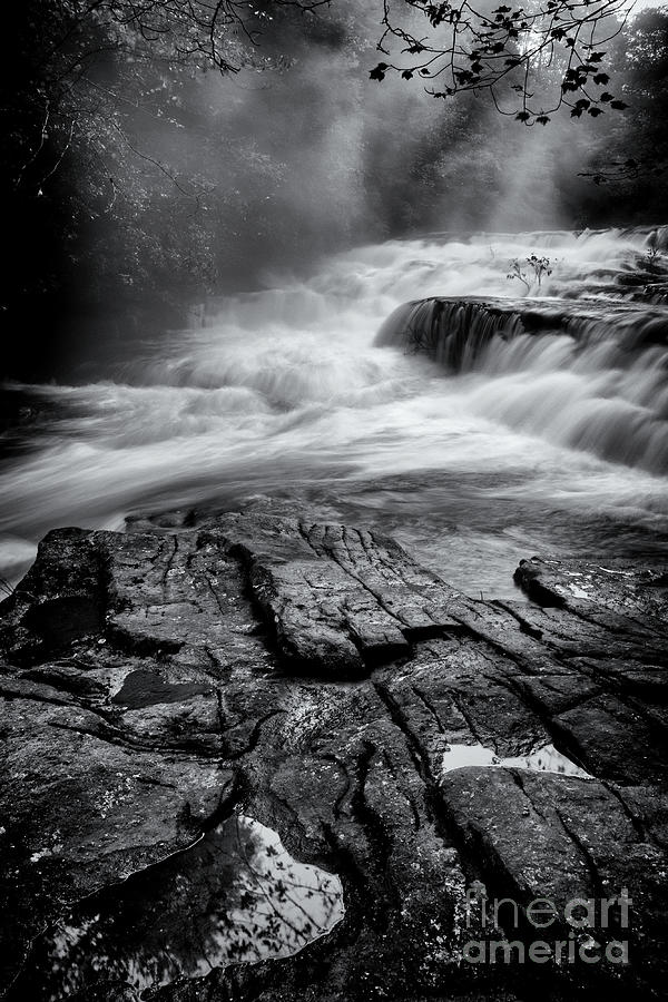 Savage Falls 20 Photograph by Phil Perkins