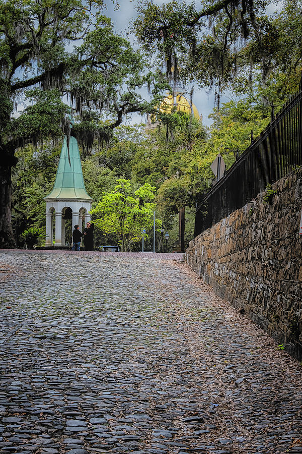 Savannah Cobblestones Photograph by Tom Singleton