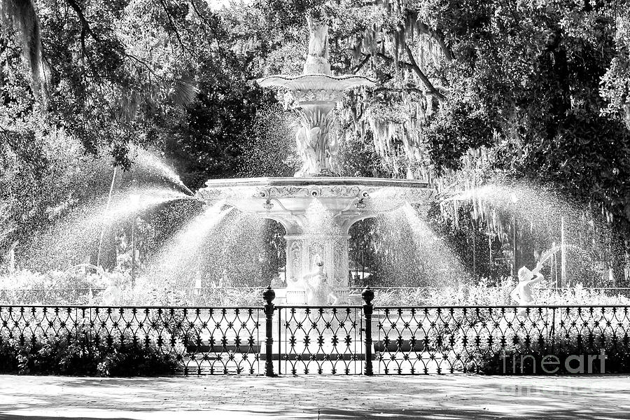 Tree Photograph - Savannah Forsyth Park Fountain in Georgia by John Rizzuto