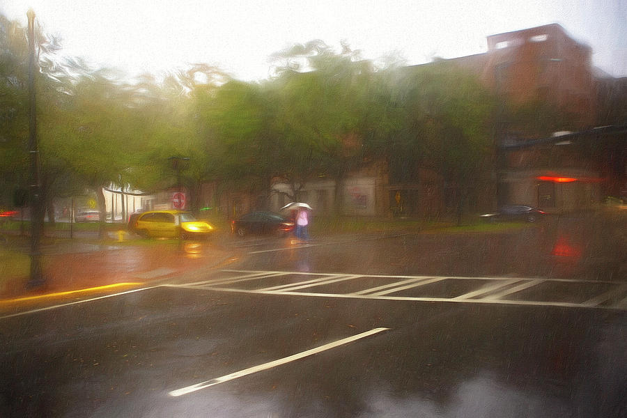 Savannah in the Rain Photograph by Deborah Penland