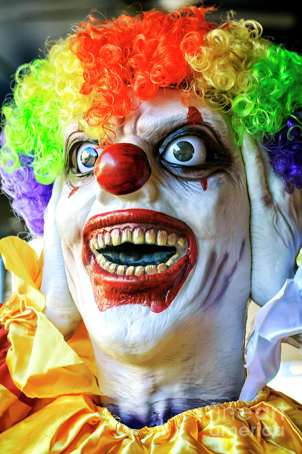 Savannah Insane Clown Photograph by John Rizzuto
