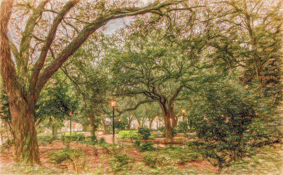 Savannah Spring, Painterly Photograph