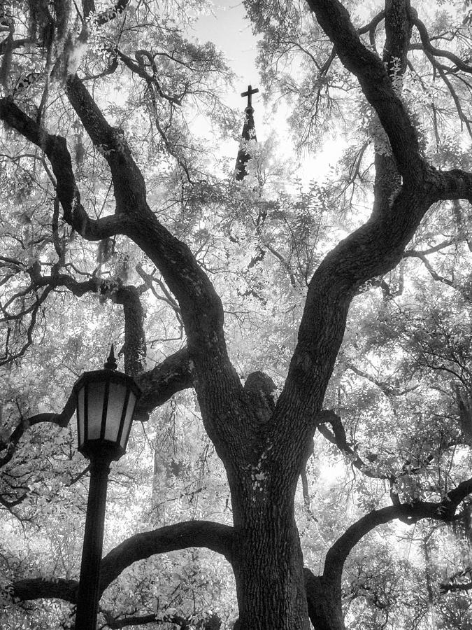 Savannah Square Photograph by Jeffrey Holbrook