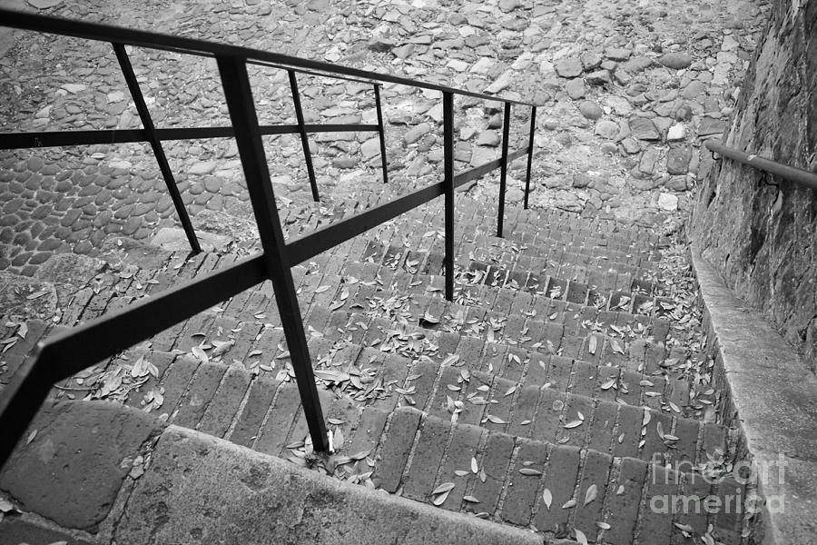 Savannah Steps Black and White Perspective Photograph by Carol Groenen
