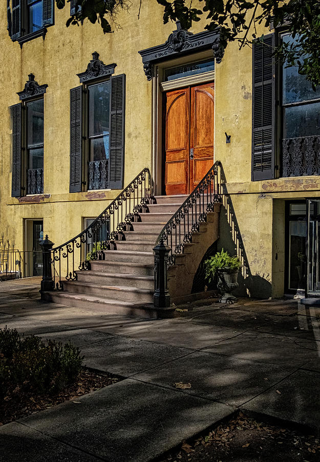 Savannah Steps Photograph by Tom Singleton