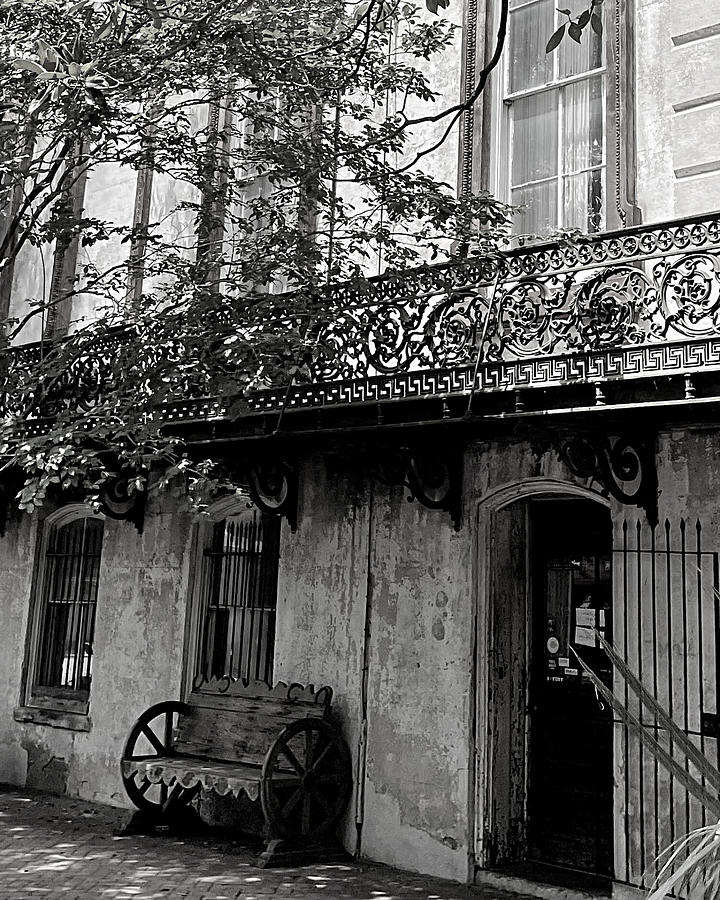 Savannah Style BW Photograph by Lee Darnell