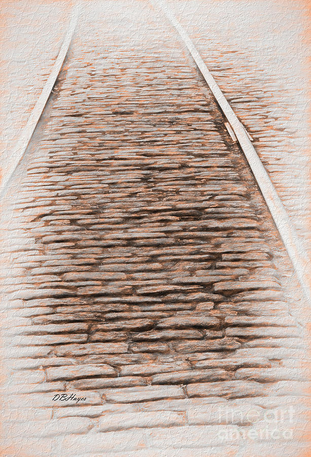 Savannah Tracks Photograph by DB Hayes