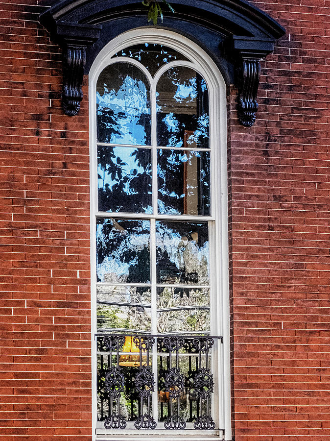Savannah Window Photograph by Tom Singleton