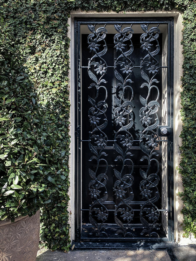 Savannah Wrought Iron Door, Savannah, Georgia Photograph by Dawna Moore Photography