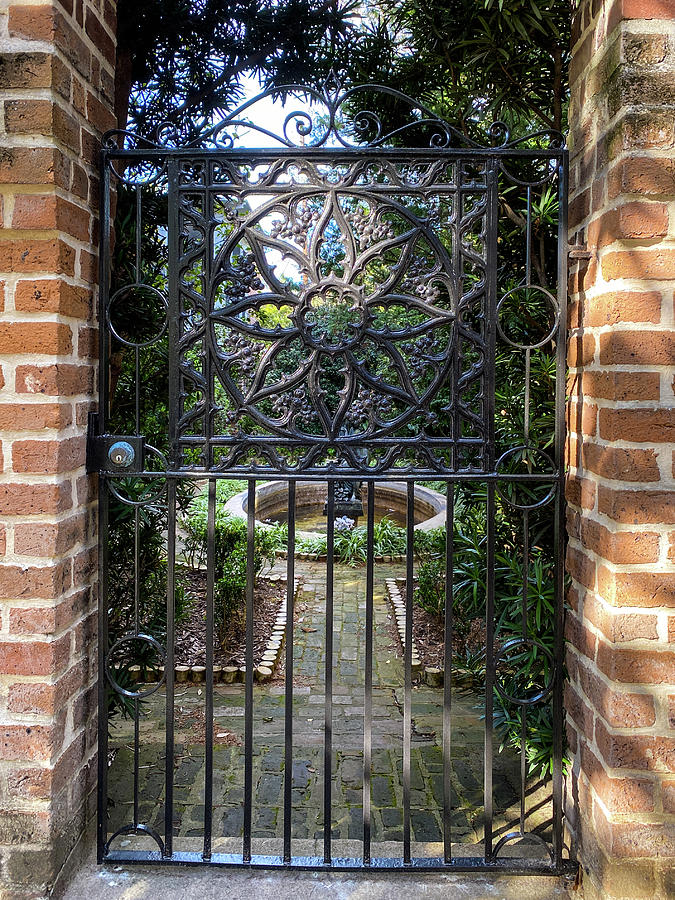 Savannah Wrought Iron Garden Gate, Savannah, Georgia Photograph by Dawna Moore Photography