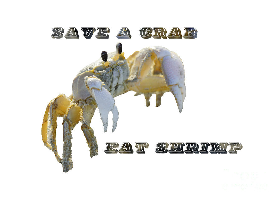 Save A Crab Eat Shrimp Photograph by Jennifer White