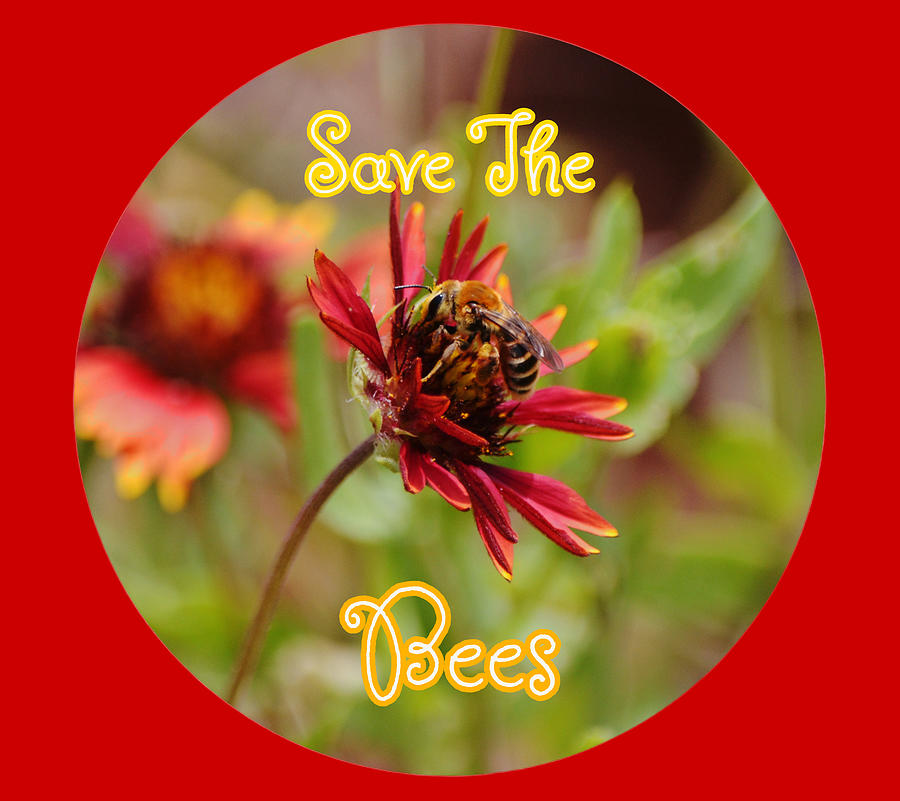 Save the Bees Bee and Flower Digital Art by Gaby Ethington