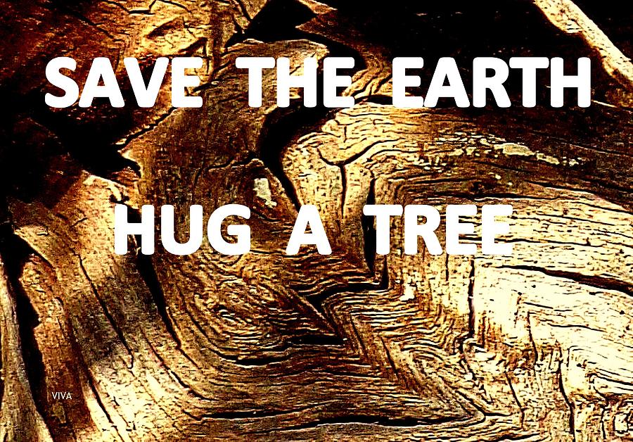 Save The Earth - Hug  A Tree With me Photograph by VIVA Anderson