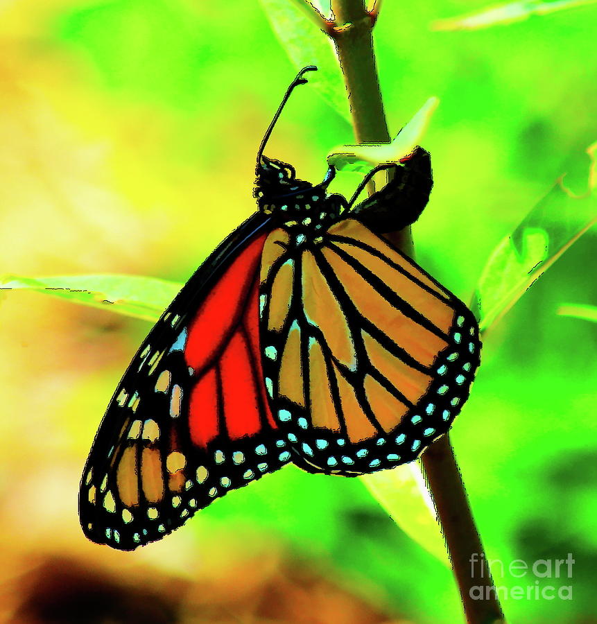 Save The Monarch Digital Art by Alison Belsan Horton