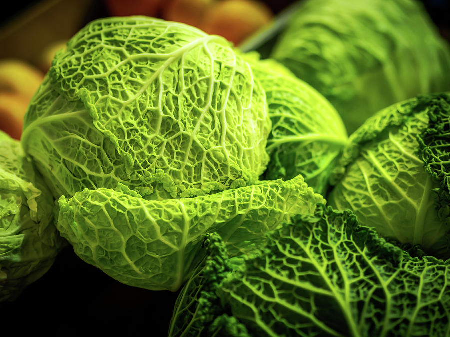Savoy Cabbage Photograph by Luis Vasconcelos