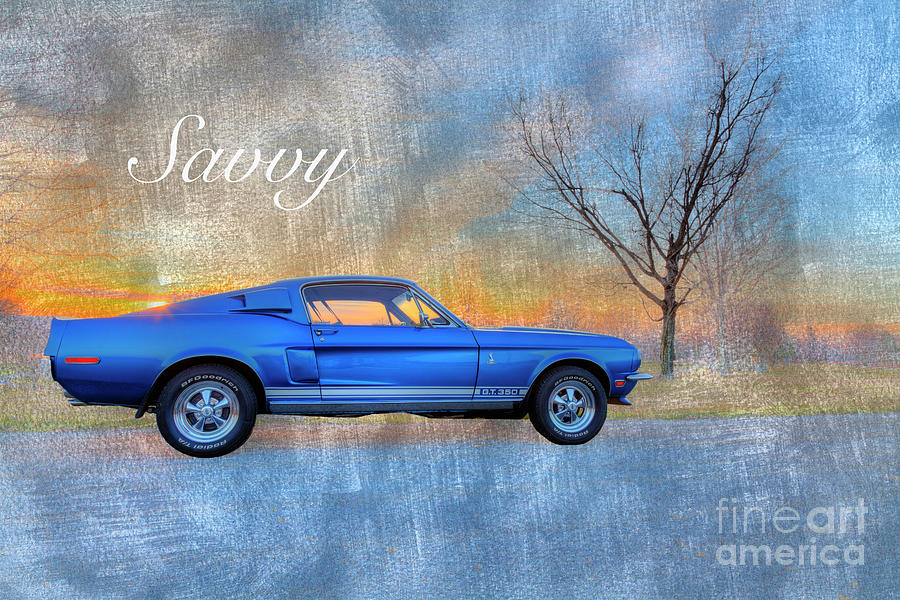 Blue Photograph - Savvy by Larry Braun Blue Photograph - Savvy by Larry Braun