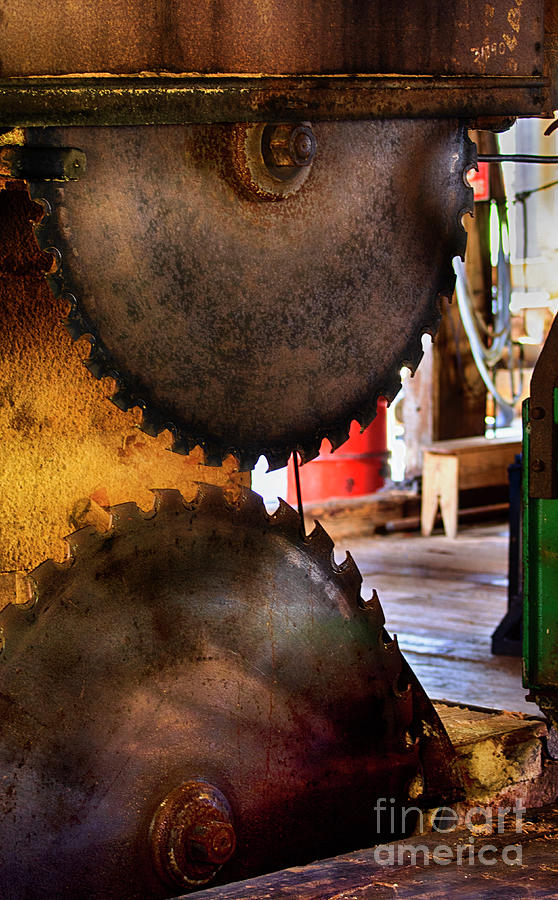Saw Blades 2 Photograph by Bob Christopher