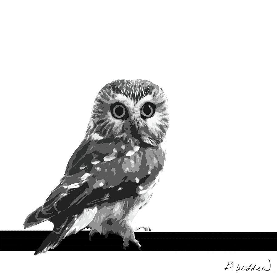 Saw-whet Owl Painting by Boughton Walden