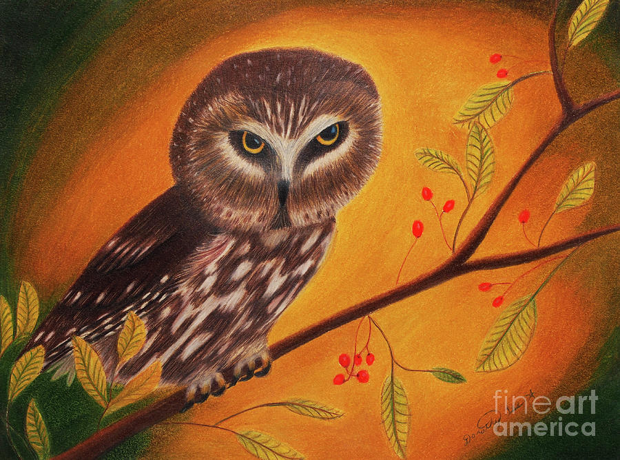 Saw Whet Owl Painting by Dorothy Lee