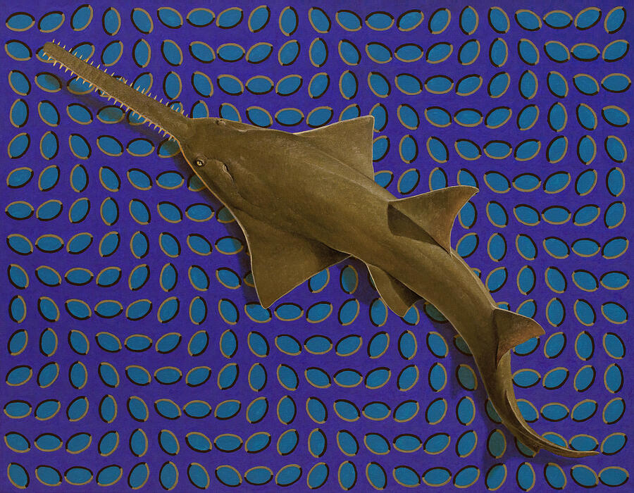 Unique Painting - Sawfish by Konstantin Korobov