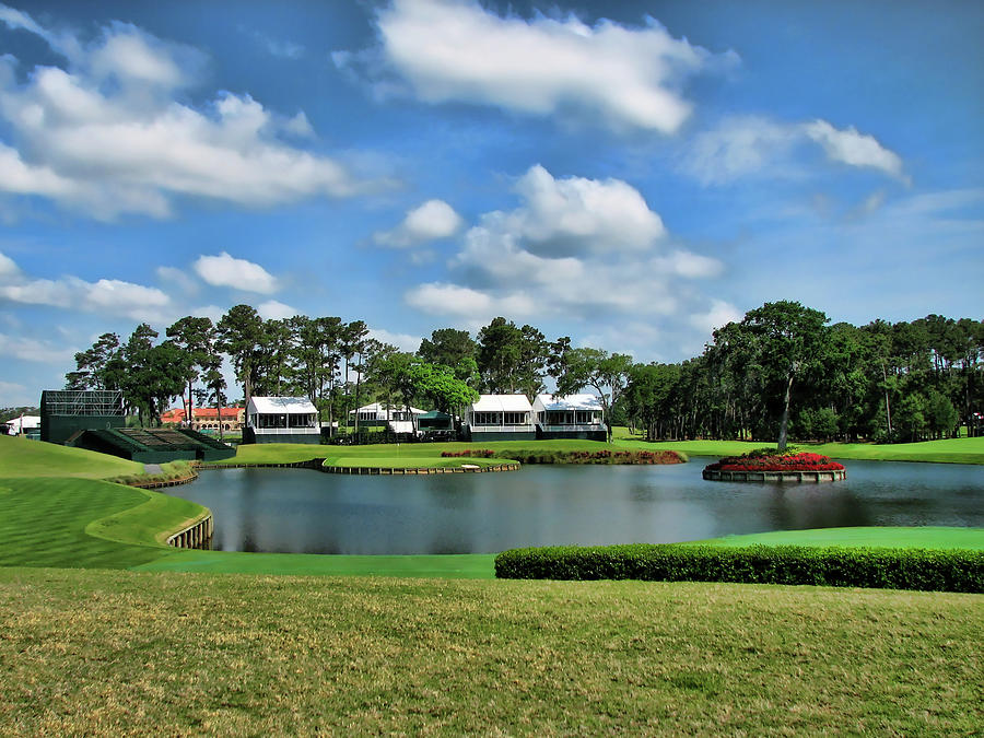 Sawgrass 17th Hole Photograph by Judy Vincent
