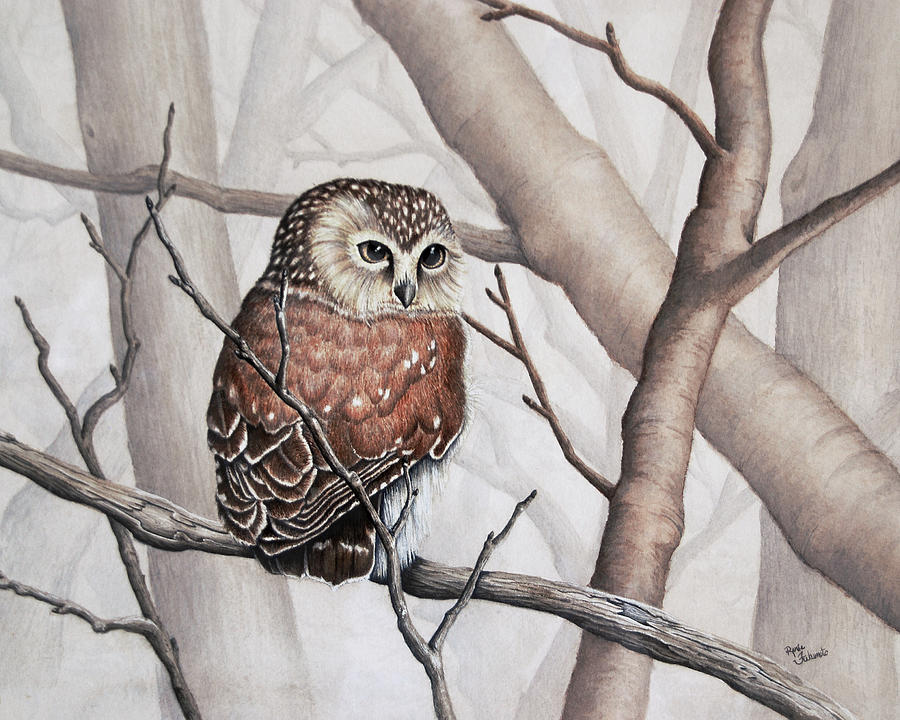 Sawhet Owl Observer Painting by Renee Forth-Fukumoto