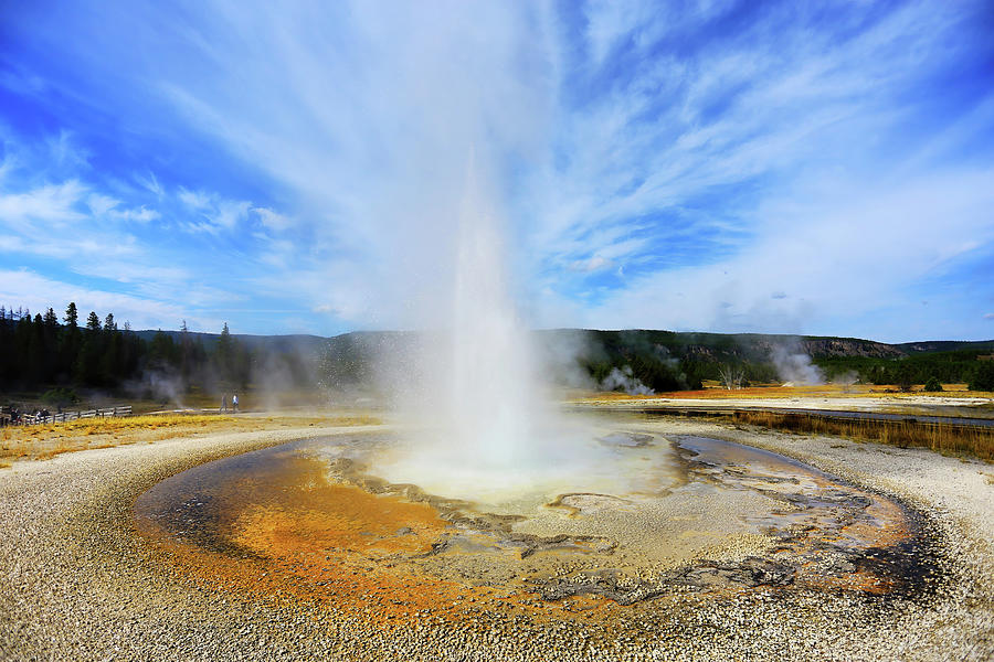 Sawmill Geyser in Yellowstone National Park Photograph by Shixing Wen ...