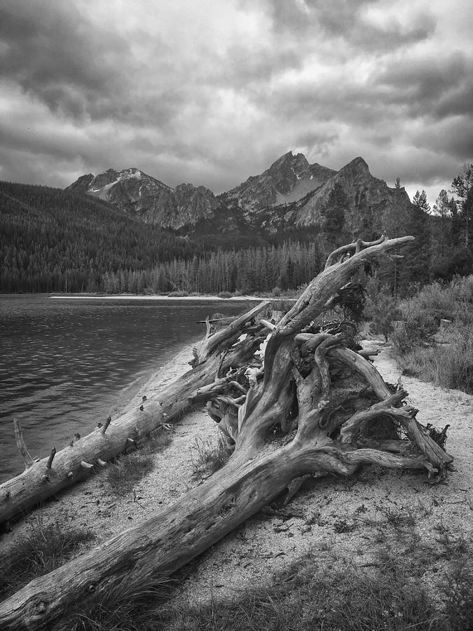 Sawtooth Mountains Photograph by Jerry Abbott