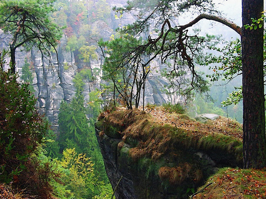 Saxon Switzerland Rock Face in Germany Digital Art by Peter Kraaibeek