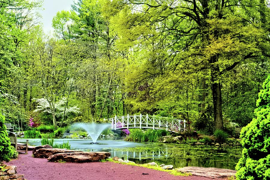 Sayen Gardens In Hamilton New Jersey Spring Scenic Photograph By