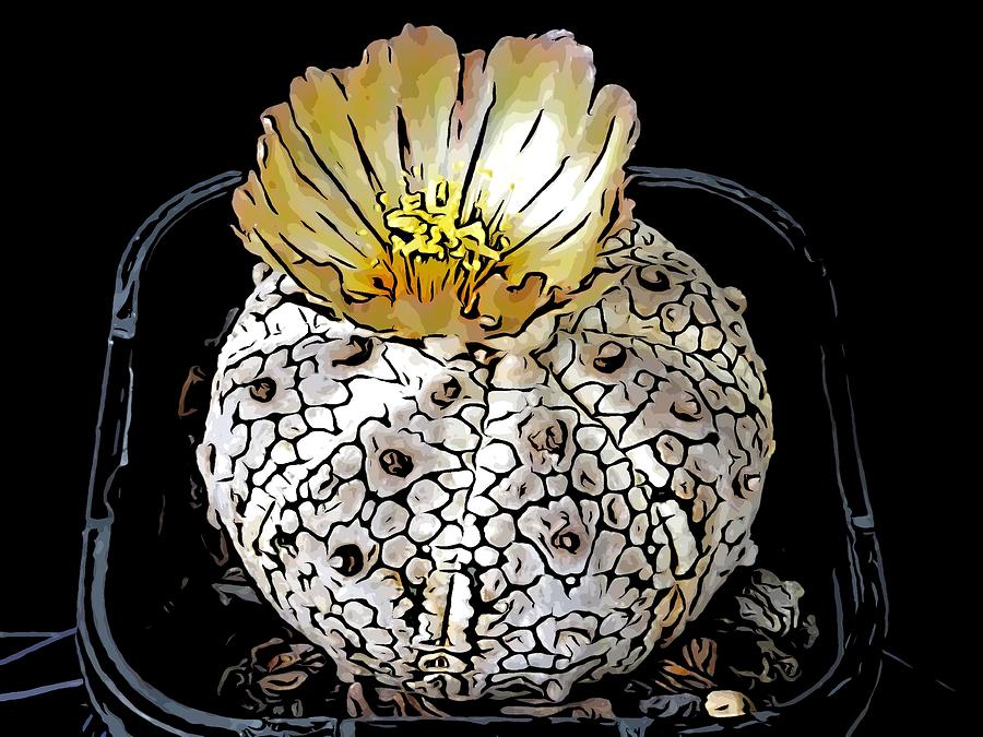SB Cactus Flower 0004D05 Digital Art by Selena Boron