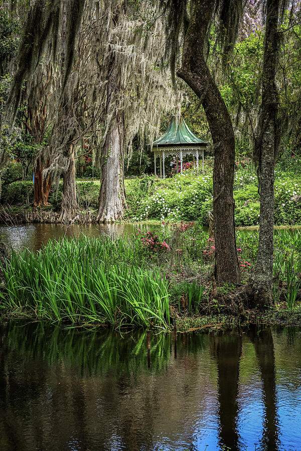 Sc-219295 Photograph by Tom Weisbrook - Fine Art America