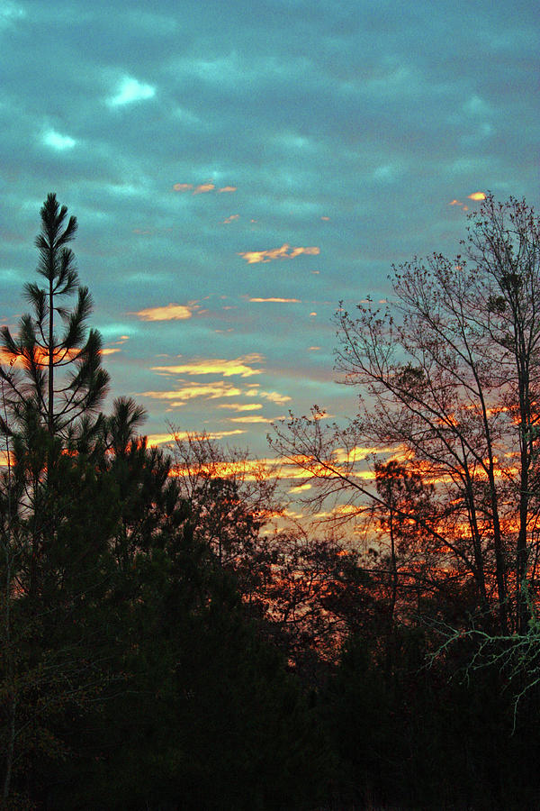 SC Sunset4269 Photograph by Carolyn Stagger Cokley