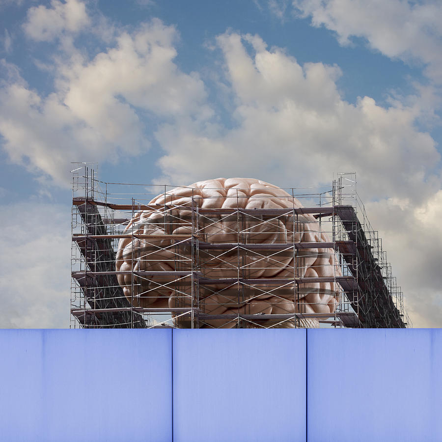 Scaffolding around brain under construction Photograph by John M Lund Photography Inc
