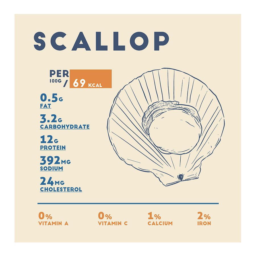 Scallop Nutrition Facts Drawing by Info Eats - Fine Art America