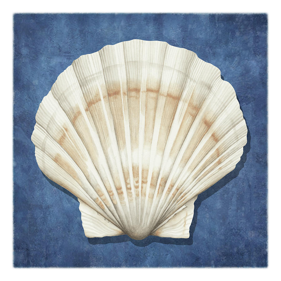 Scallop Shell I With Indigo Background Painting