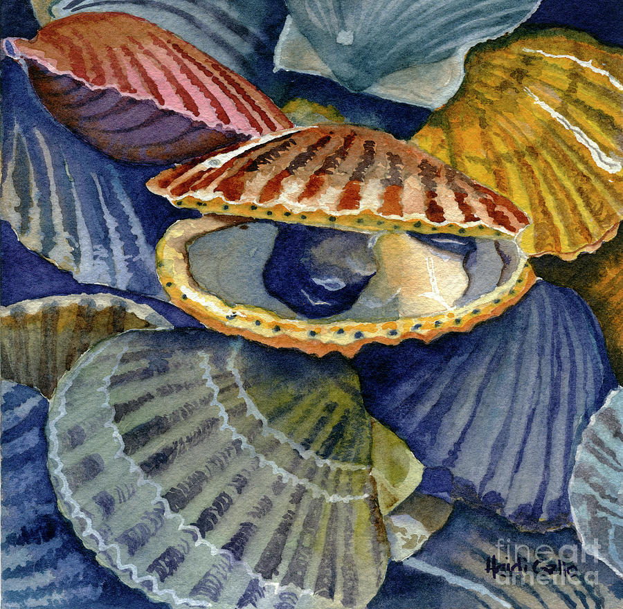 Scallops Painting by Heidi Gallo