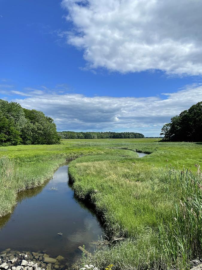 Scarborough Marsh Photograph by Randy Carbo - Pixels