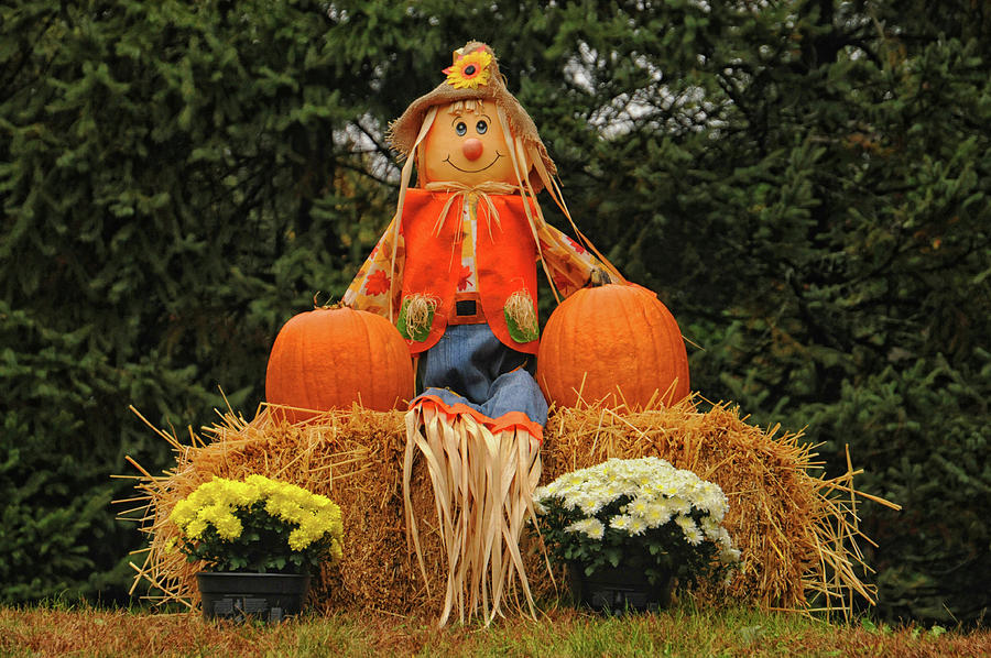 Scarecrow and his Pumpkins Photograph by Mike Martin