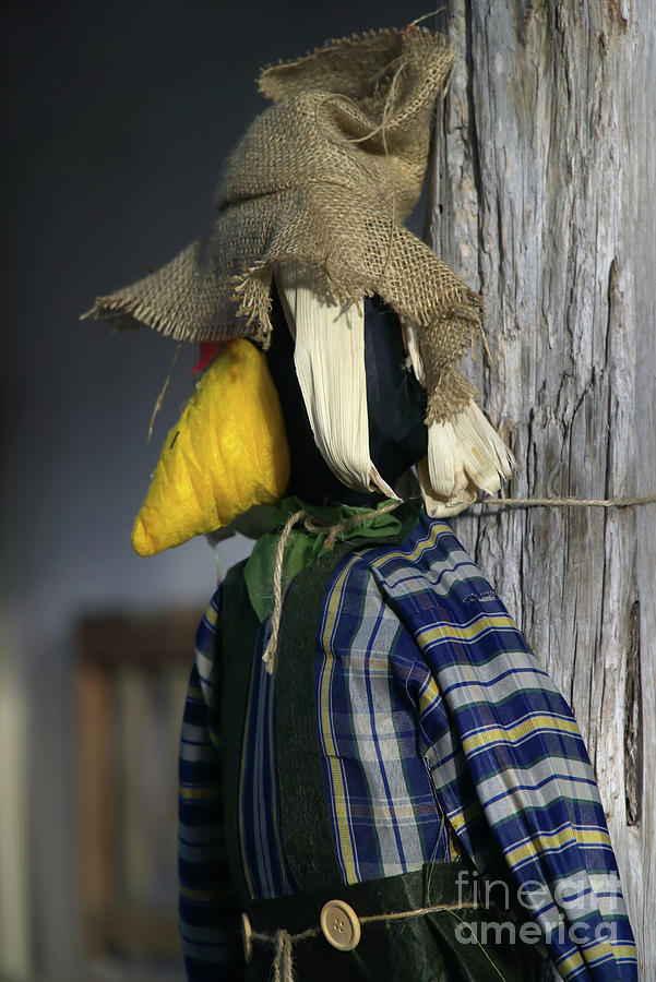 Scarecrow crow Photograph by Jerry Editor - Pixels