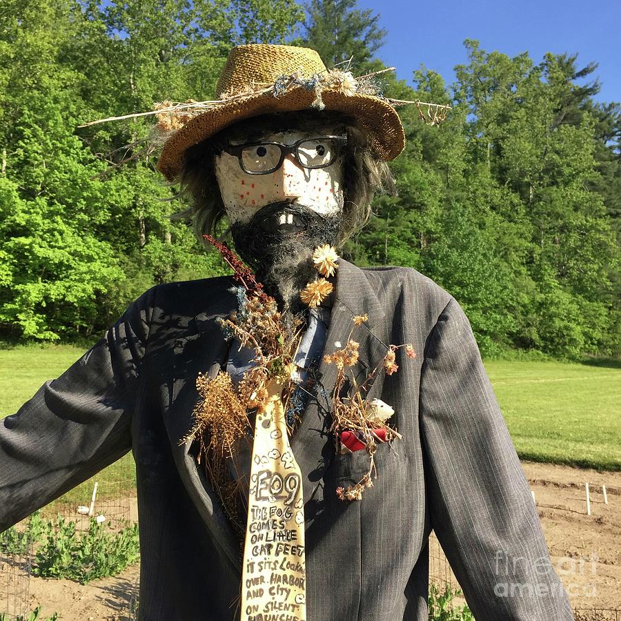 Scarecrow Photograph by Flavia Westerwelle