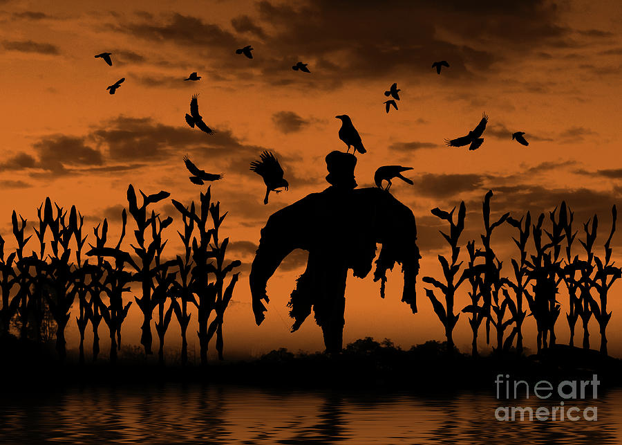 Scarecrow Halloween Spooky Scary in Cornfield with Raven and Birds Photograph by Stephanie Laird
