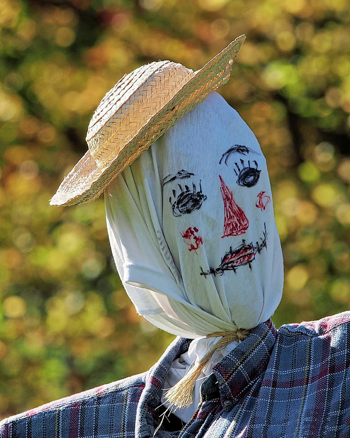 Scarecrow I Photograph by Scott Olsen