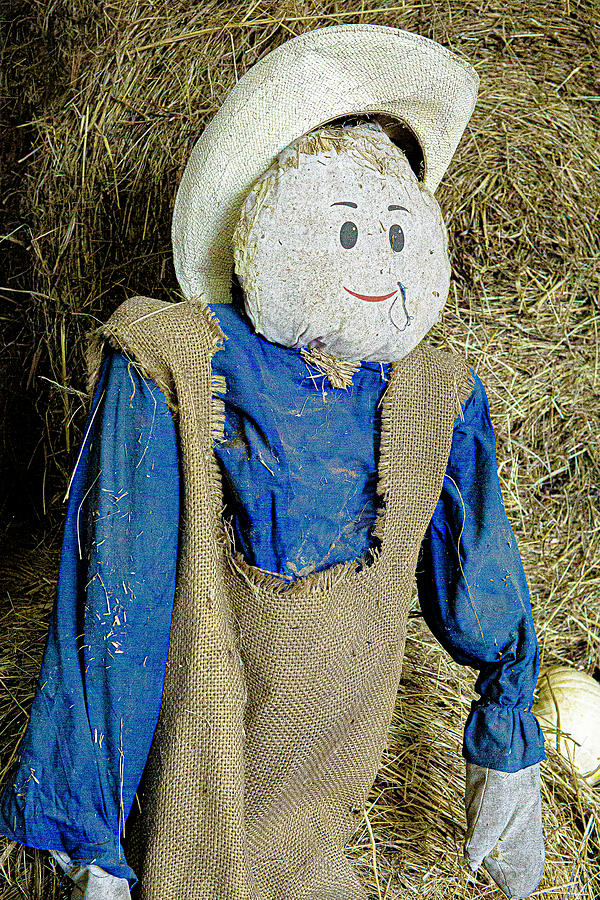 Scarecrow next to Hay Photograph by David Morehead