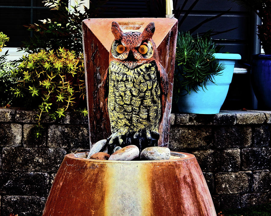 Scarecrow Owl Pedestal Photograph by Andrew Lawrence