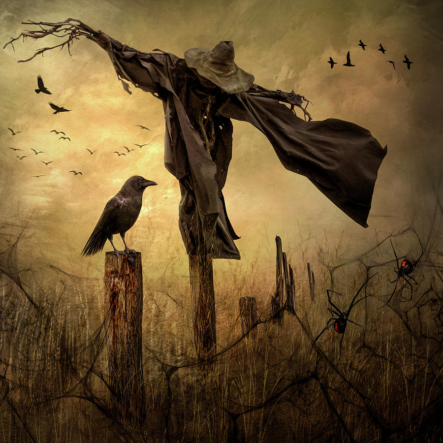 Scarecrow Digital Art by Rosa Perry - Fine Art America