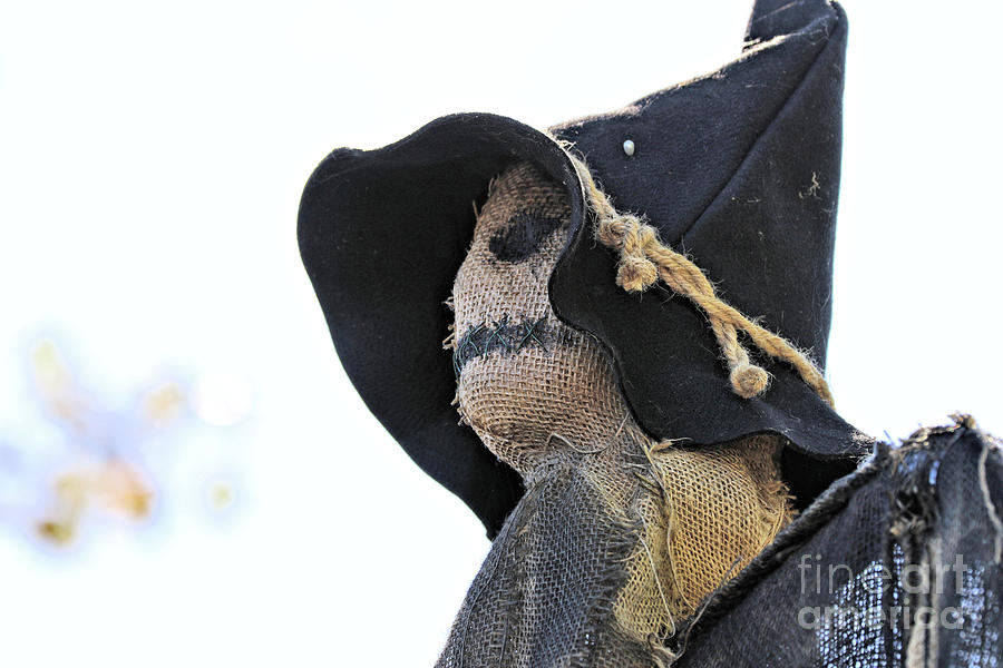 Scarecrow Photograph by Vivian Krug Cotton